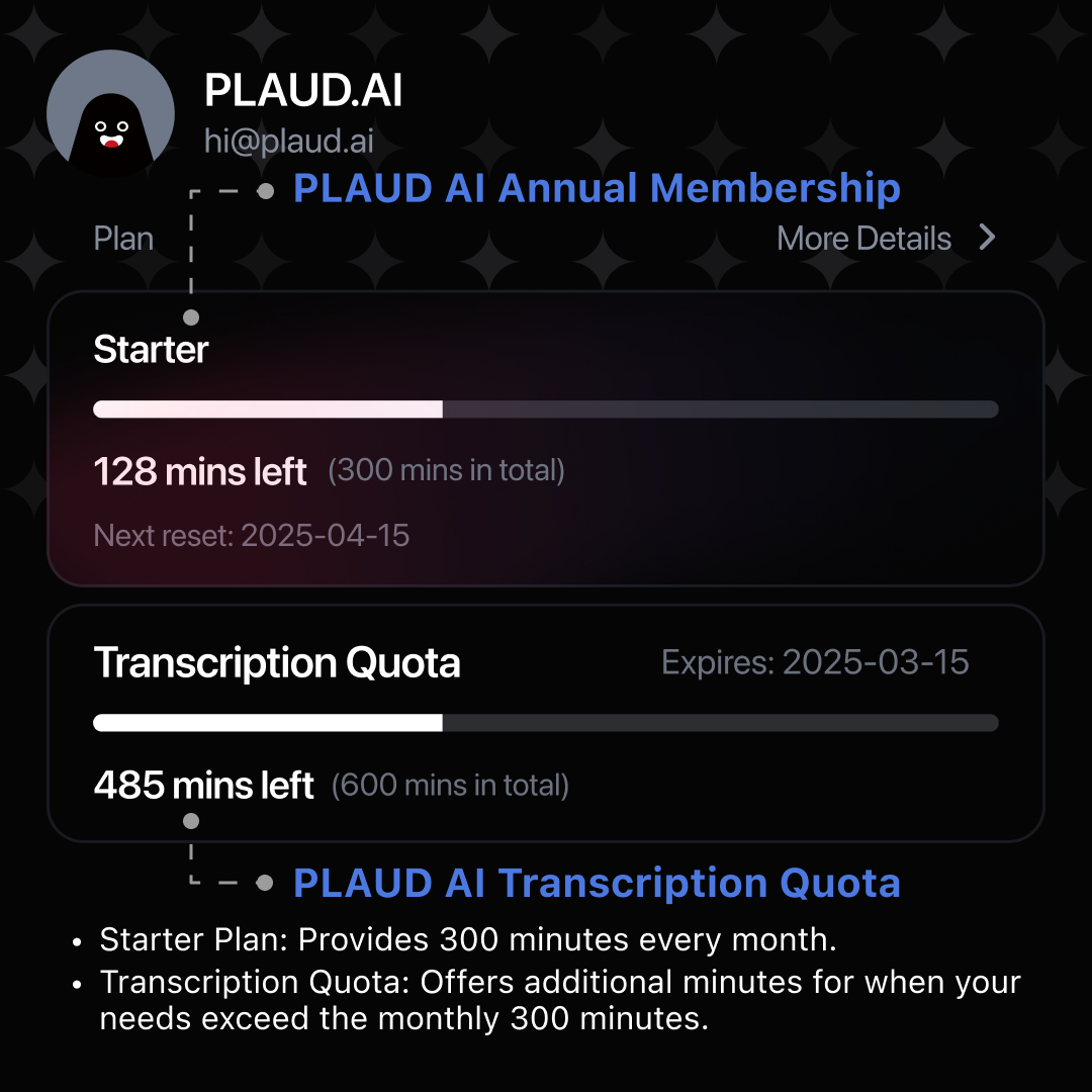 PLAUD AI Transcription Quota (600mins) | 2 Pack